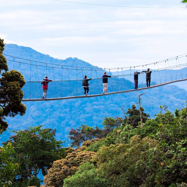Nyungwe National Park