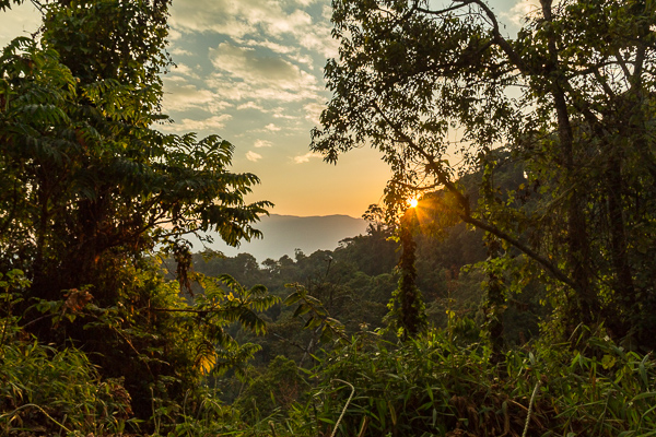 Sunrise over the forested ridges of Nyungwe National Park, Rwanda