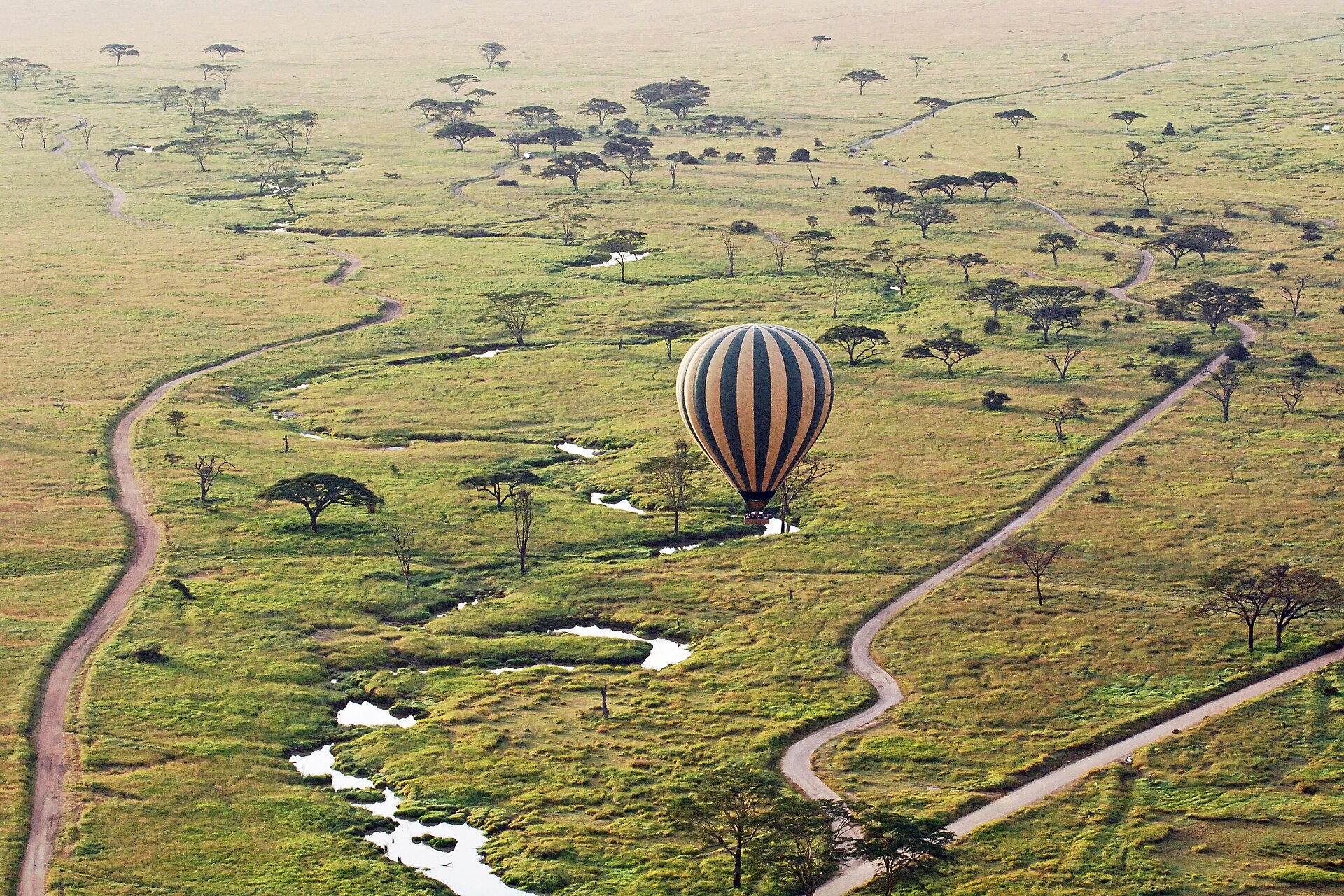 Hot Air Balloon Safari: Serengeti and Masai Mara Compared photo 5