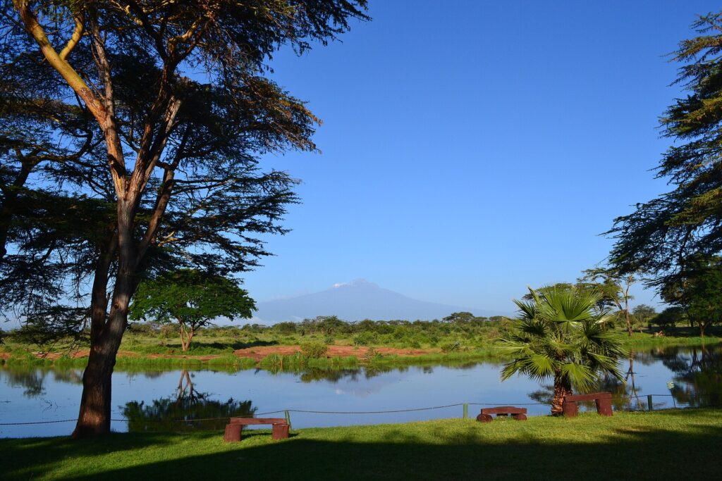 Kenya vs Tanzania Safari: Which is Right for You? photo 6