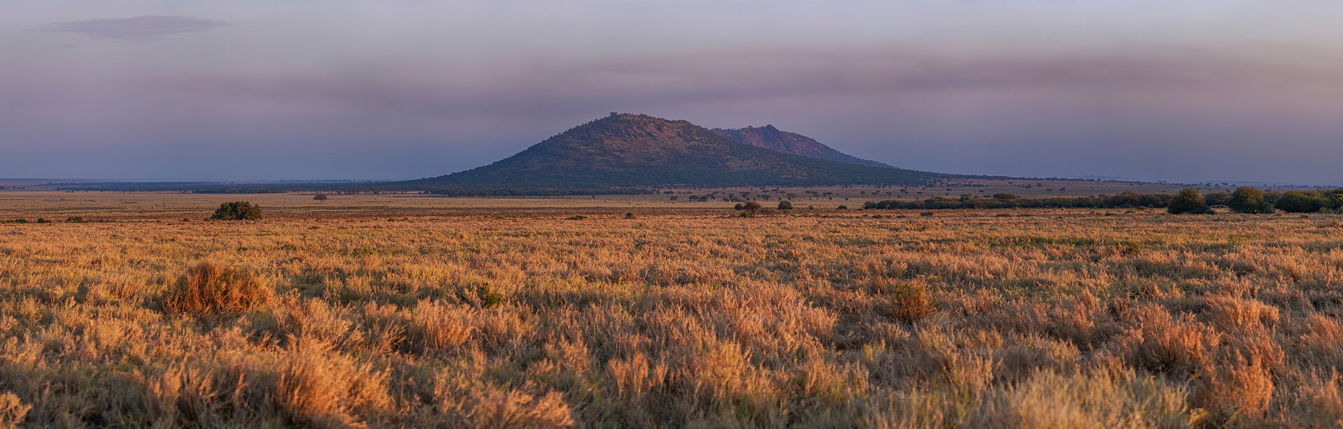 Serengeti photo 3