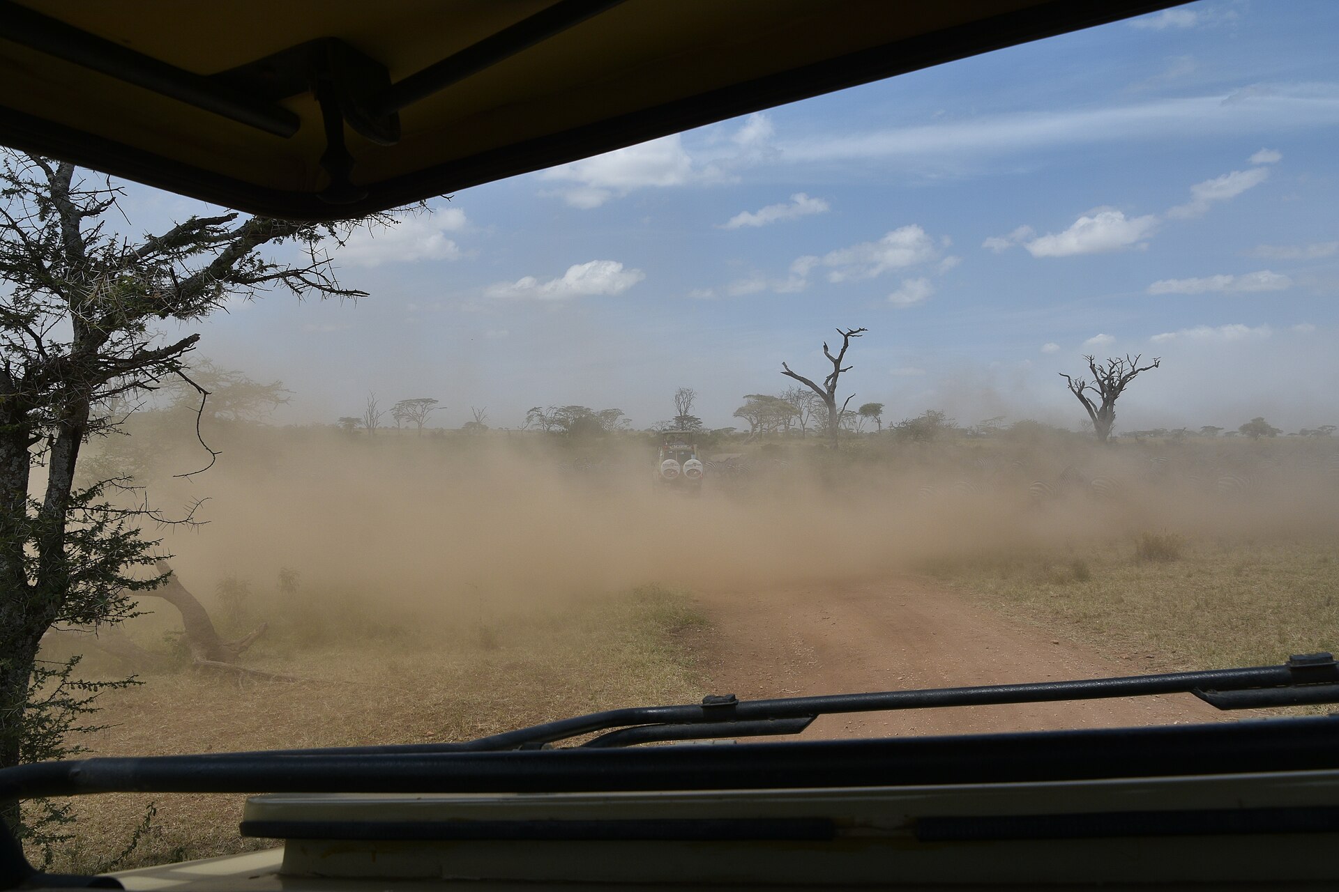 Serengeti National Park: The Great Migration Explained photo 6