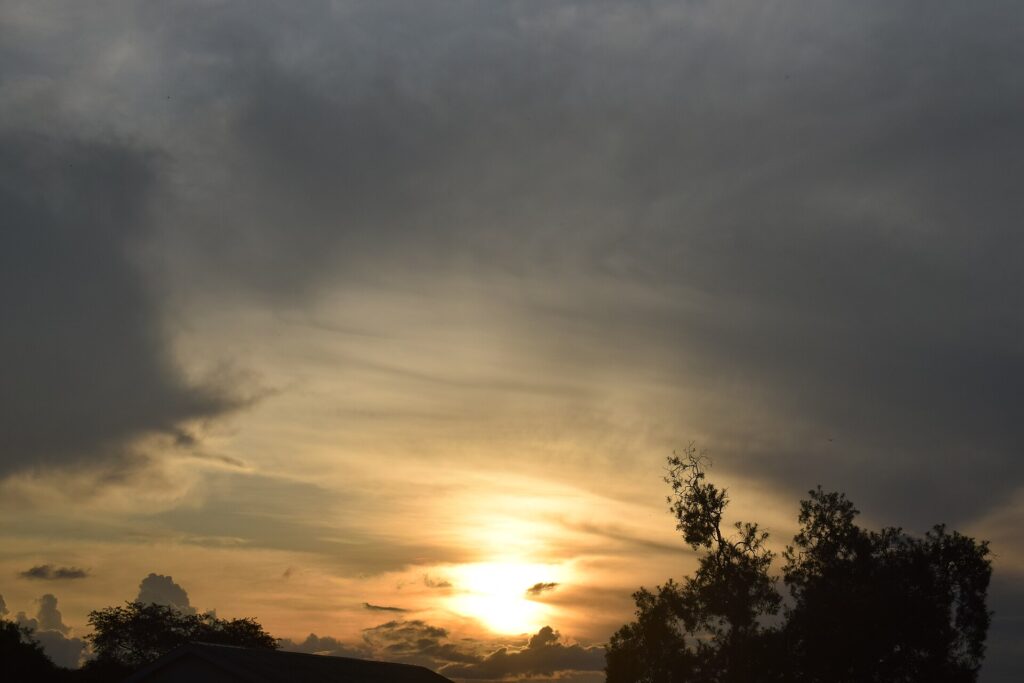 Uganda Safari Cost: Permits, Lodges and Transport Breakdown photo 6